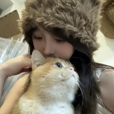 偷龙转猫